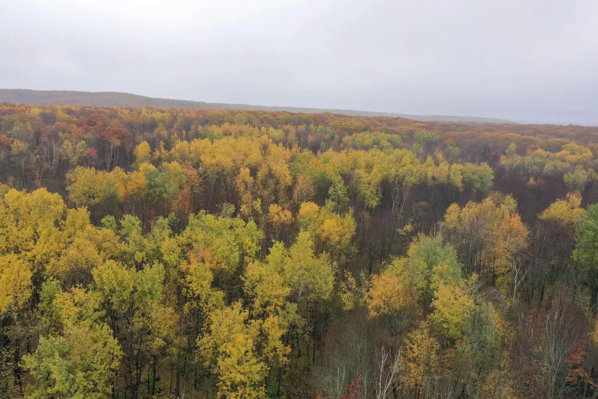 16XXX W County Road O, Weyerhaeuser, WI 54895 - #1