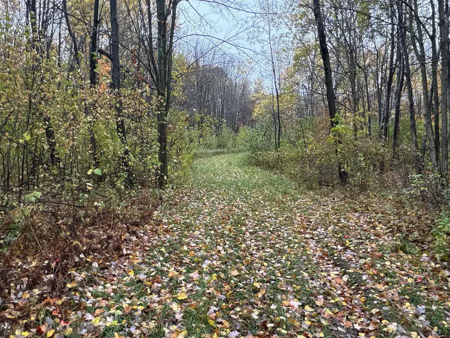 16XXX W County Road O, Weyerhaeuser, WI 54895 - #3