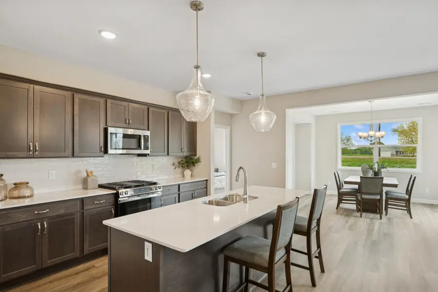 313 Emmy Lane, Hanover, MN 55341 - #3