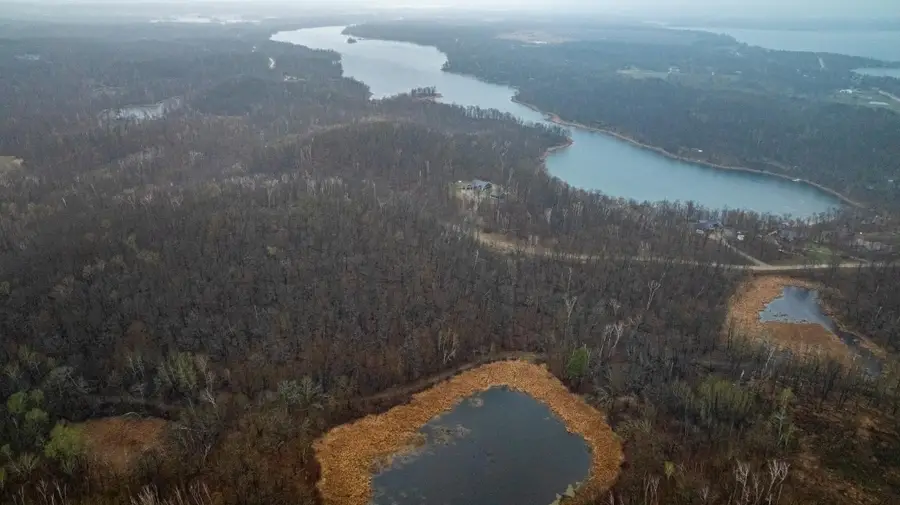 Tract A Carlson Drive, Rochert, MN 56578 - Image #2