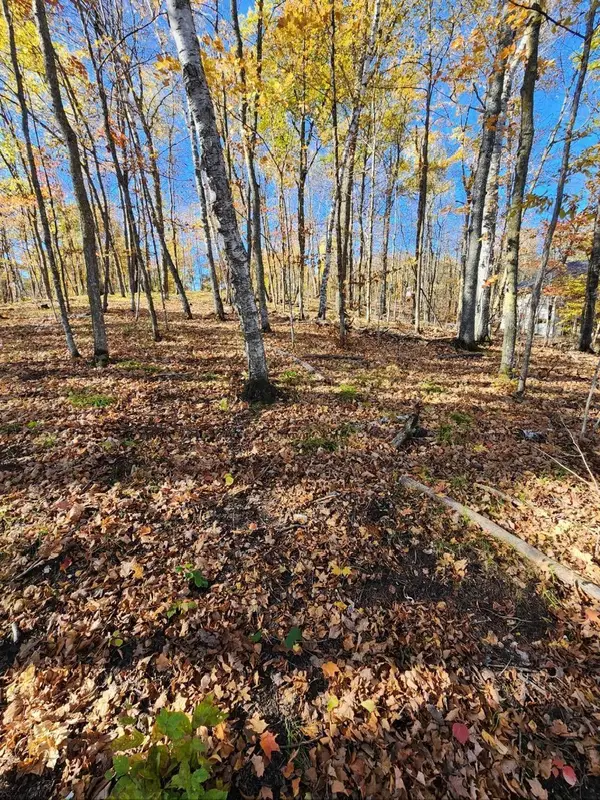 LOT 7 Sw Pickerel Lake Road, Detroit Lakes, MN 56501