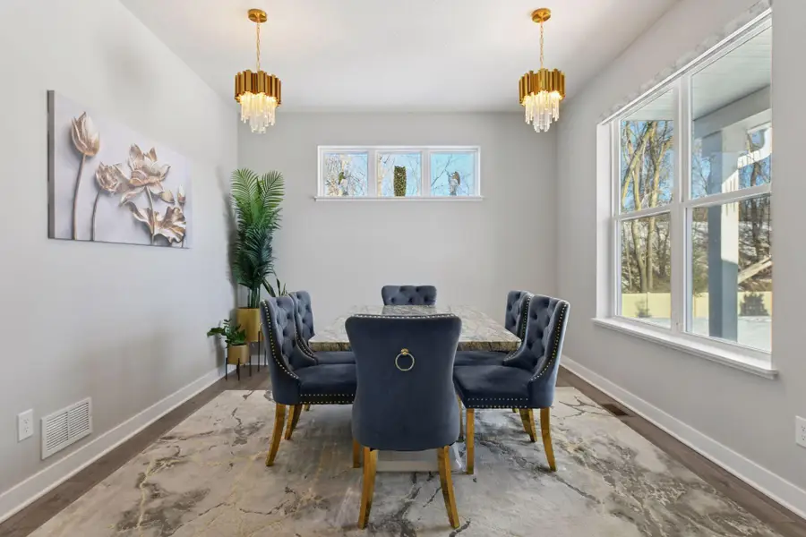 1663 Oak Creek Drive, Chaska, MN 55318 - #3