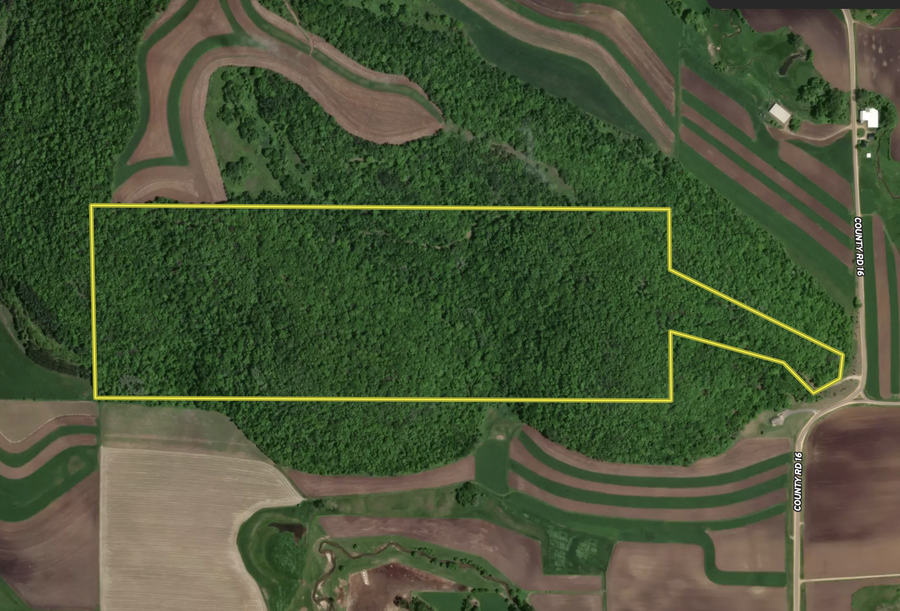 tbd County Road 16, New Hartford, MN 55925 - Image #2