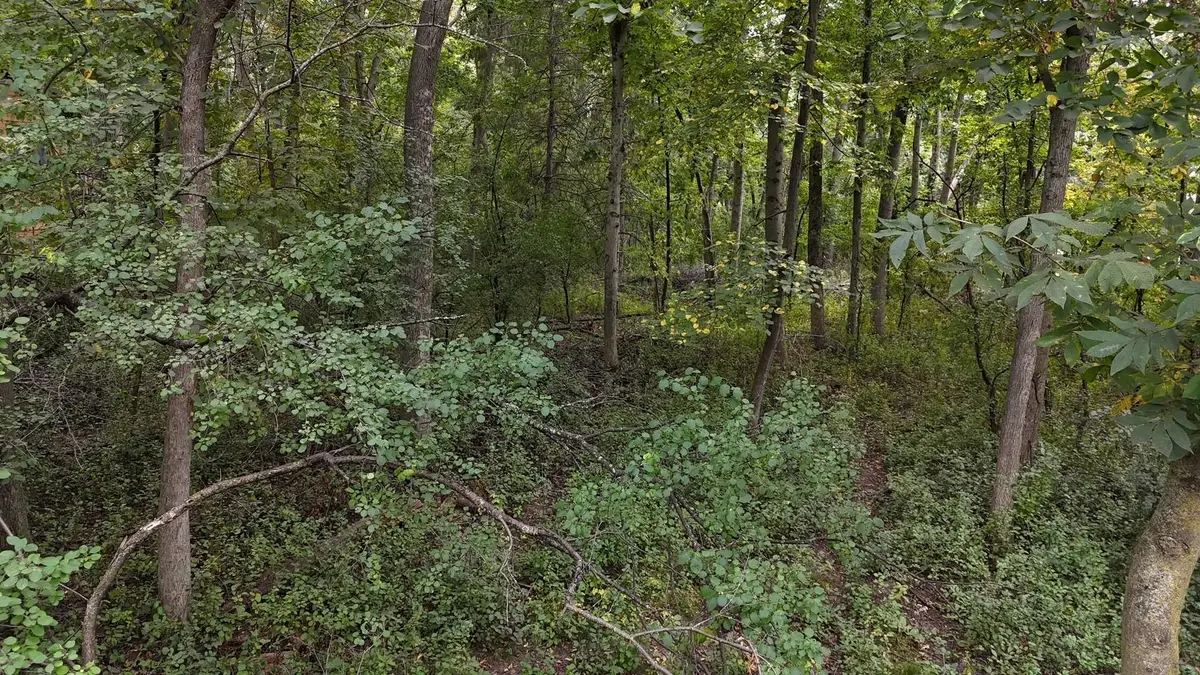 308 Sommers Street N, North Hudson, WI 54016 - Image #1