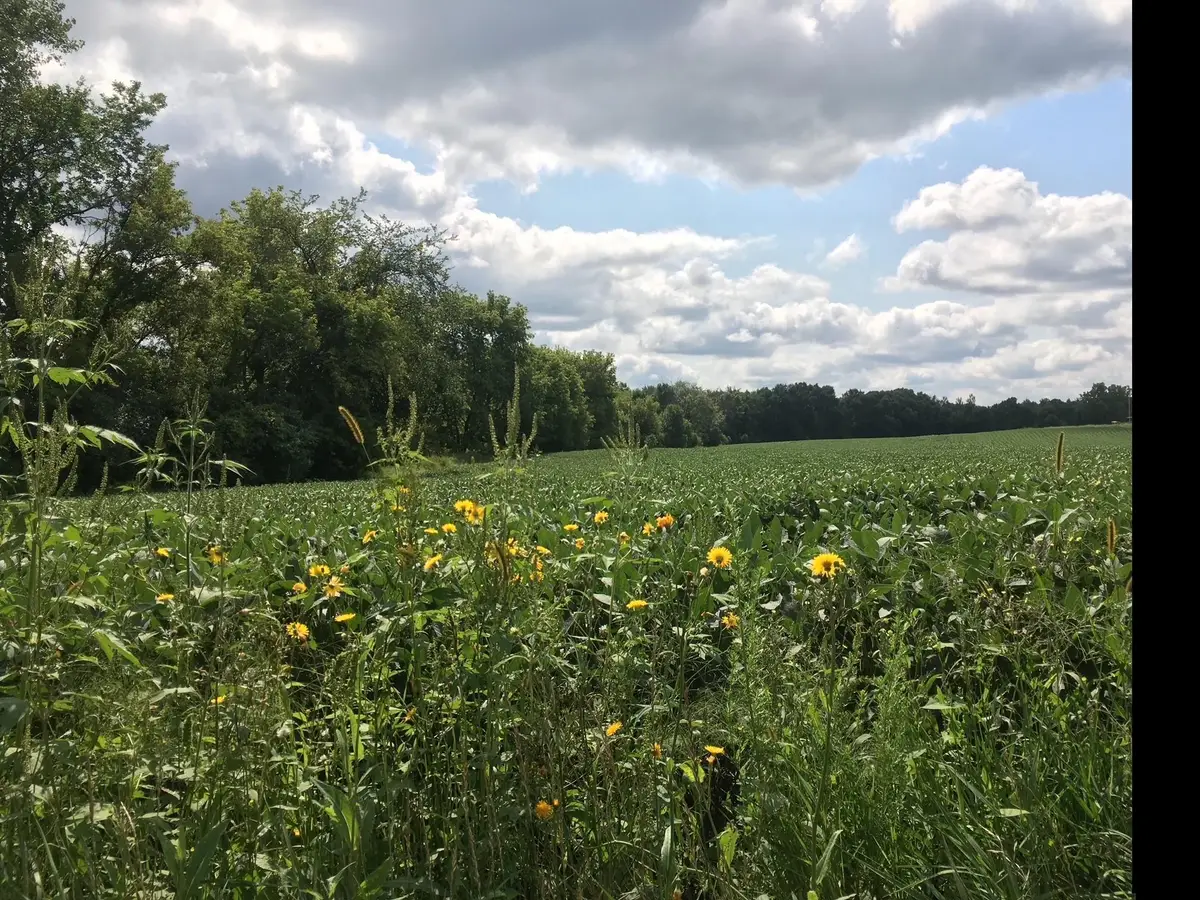 1405 Hamel Road, Medina, MN 55340 - #1