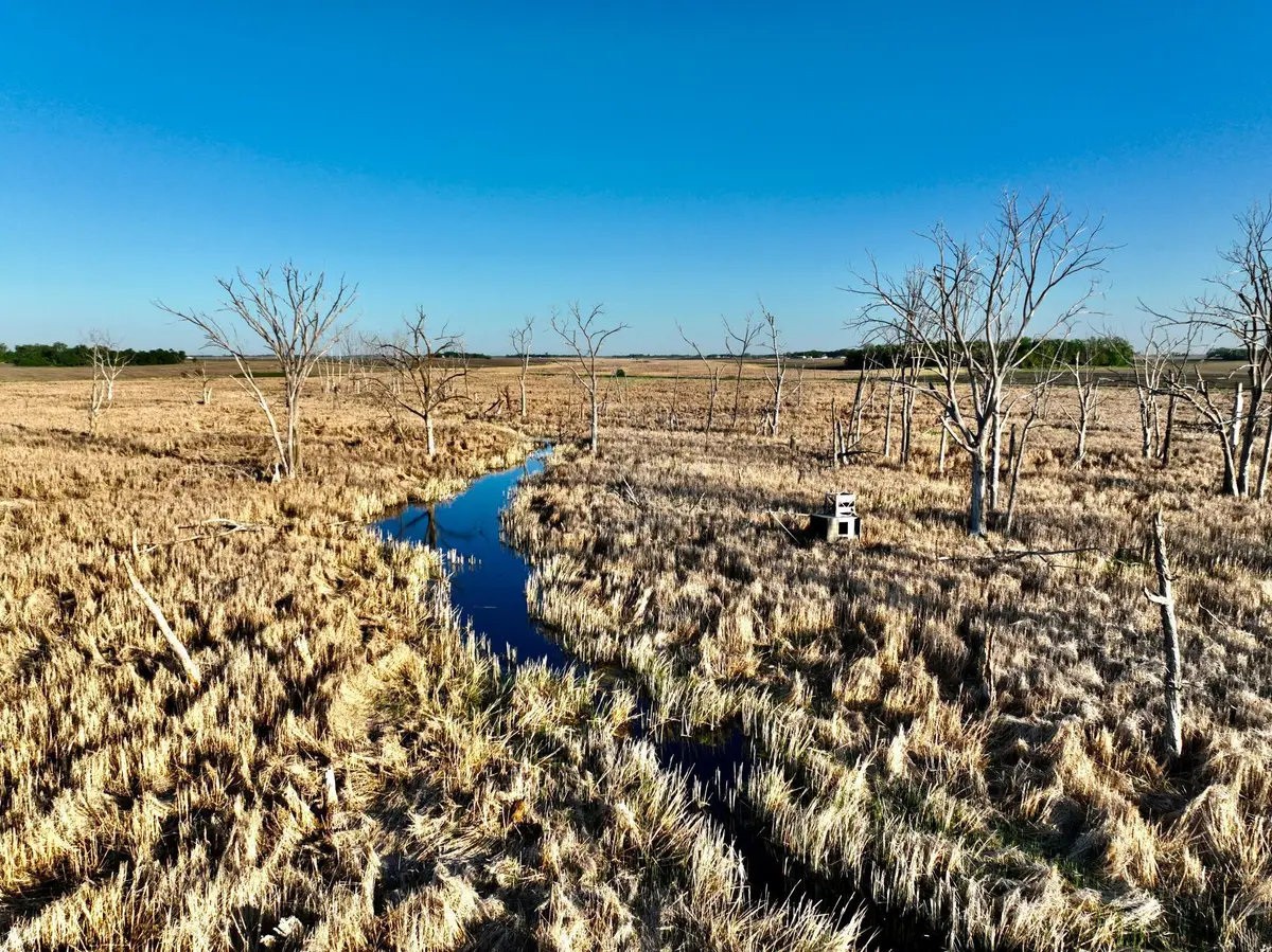 TBD County Highway 14, Madison, MN 56256 - #1