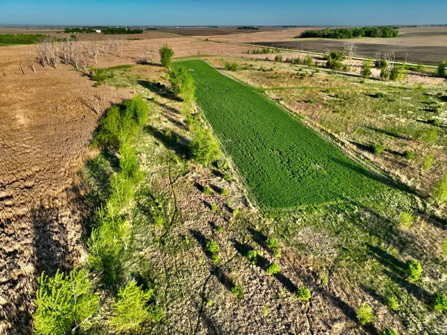 TBD County Highway 14, Madison, MN 56256 - #3