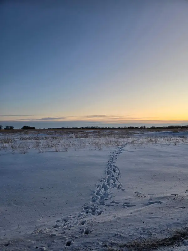 TBD County Highway 32, Gary, MN 56545