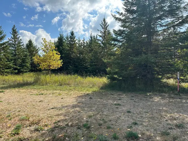 26783 Lidstrom Road, Detroit Lakes, MN 56501