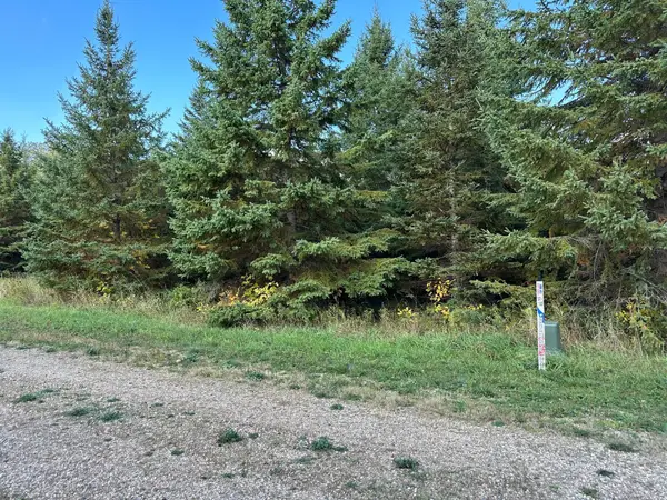 26797 Lidstrom Road, Detroit Lakes, MN 56501
