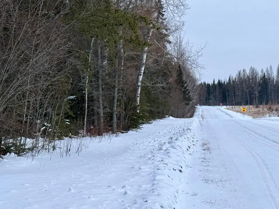 TBD Heino Rd, Angora, MN 55703 - Image #3