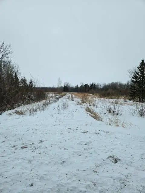 10389 150th Street Nw, Thief River Falls, MN 56701 - Image #2