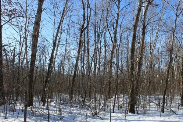 91xx 200th Street, Milaca, MN 56353