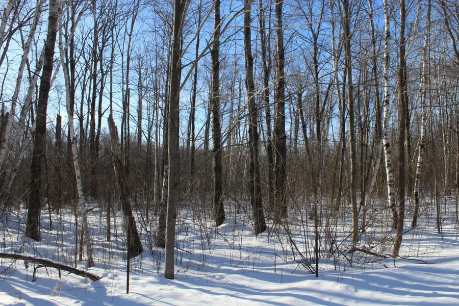 91xx 200th Street, Milaca, MN 56353 - #2