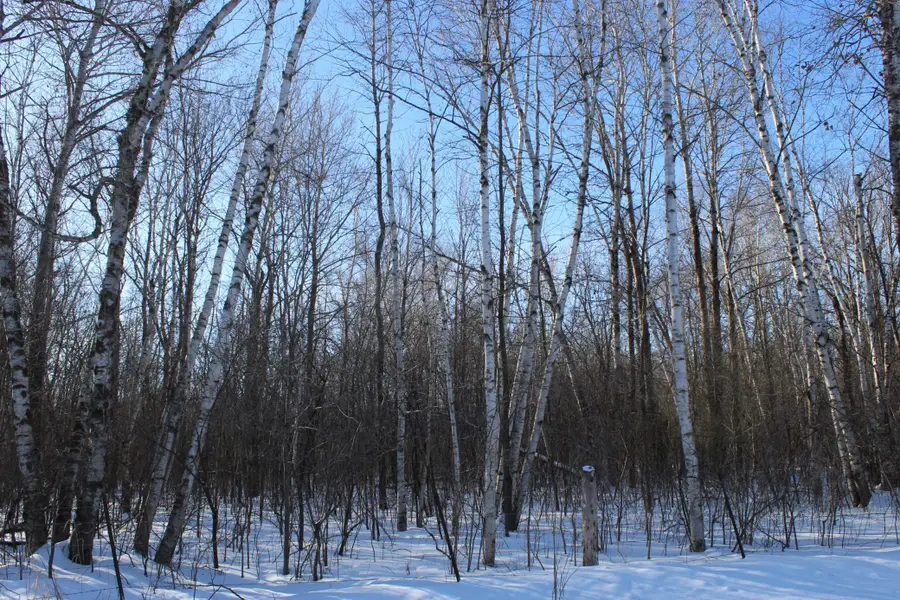 91xx 200th Street, Milaca, MN 56353 - #3