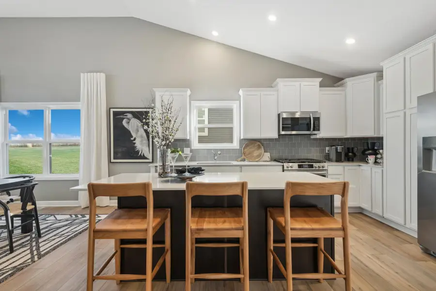 7529 Lotus Lane, Lino Lakes, MN 55038 - #2