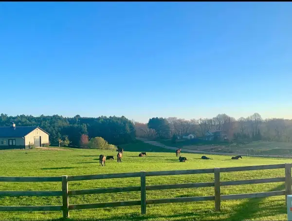 W10708 468th Avenue, Prescott, WI 54021