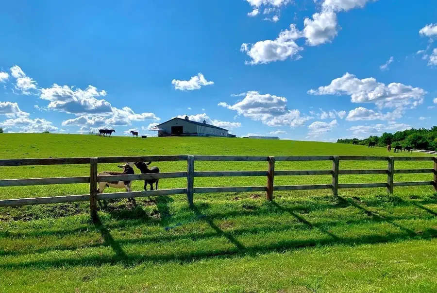 W10708 468th Avenue, Prescott, WI 54021 - #2