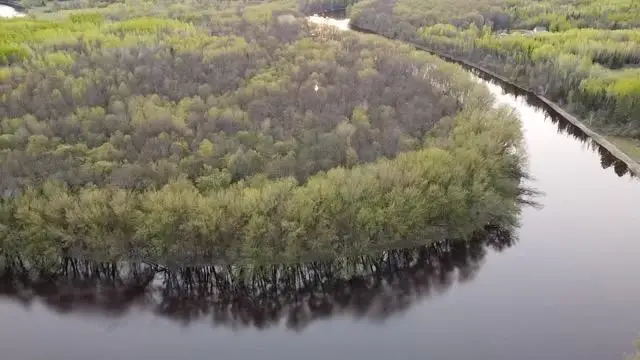 TBD County Road 79, Littlefork, MN 56653 - #1