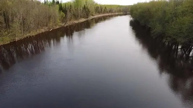 TBD County Road 79, Littlefork, MN 56653 - #3