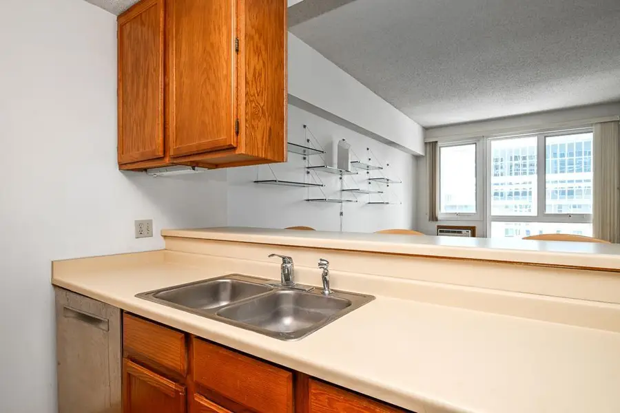 433 7th Street S #2305, Minneapolis, MN 55415 - Image #2