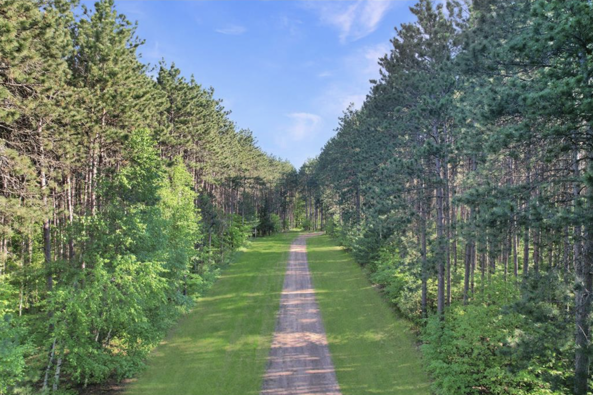 25381 White Oak Dr (lot 310), Sand Lake, WI 54893 - #1