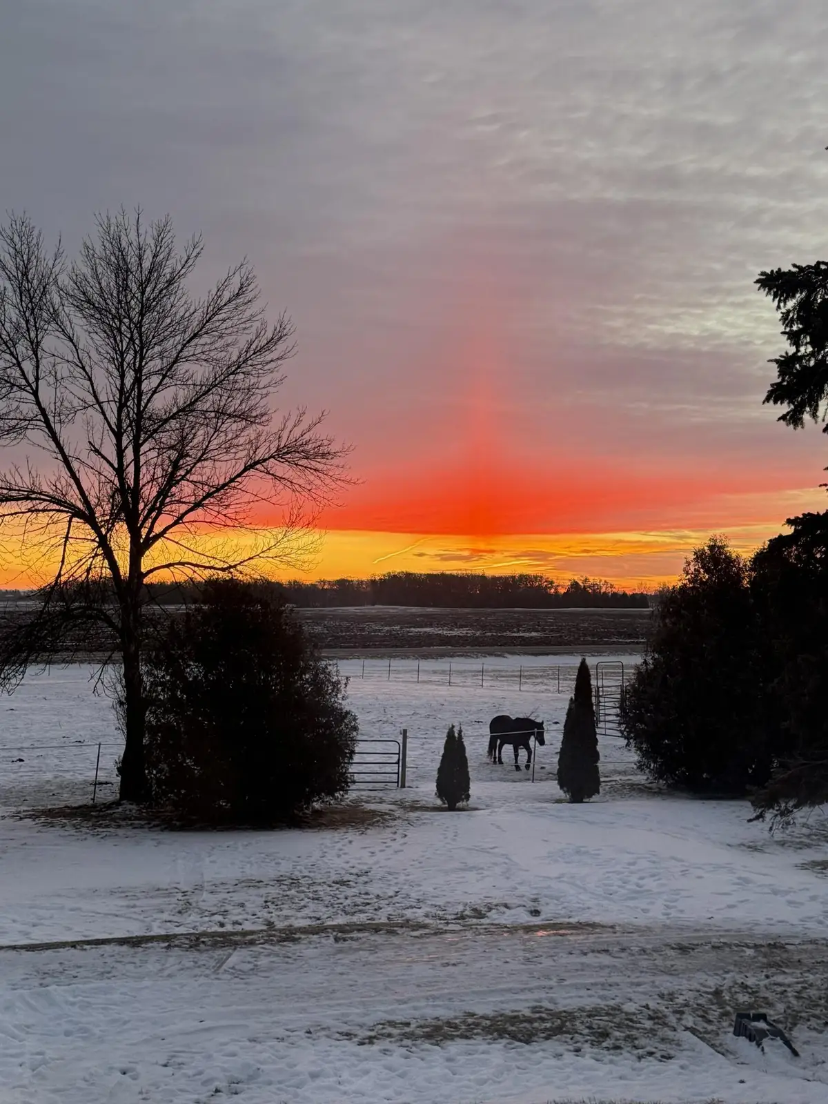 3234 SE 14th Avenue, Owatonna, MN 55060 - #1