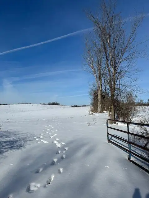 2665 230th Avenue, Saint Croix Falls, WI 54024 - #3