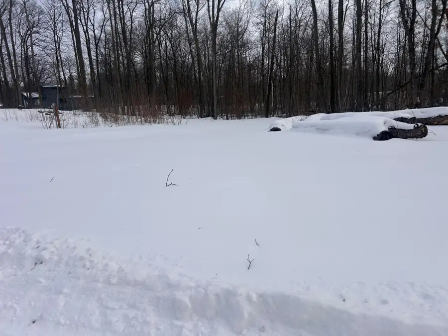 27536 Norway Trail, Randall, MN 56475 - #2