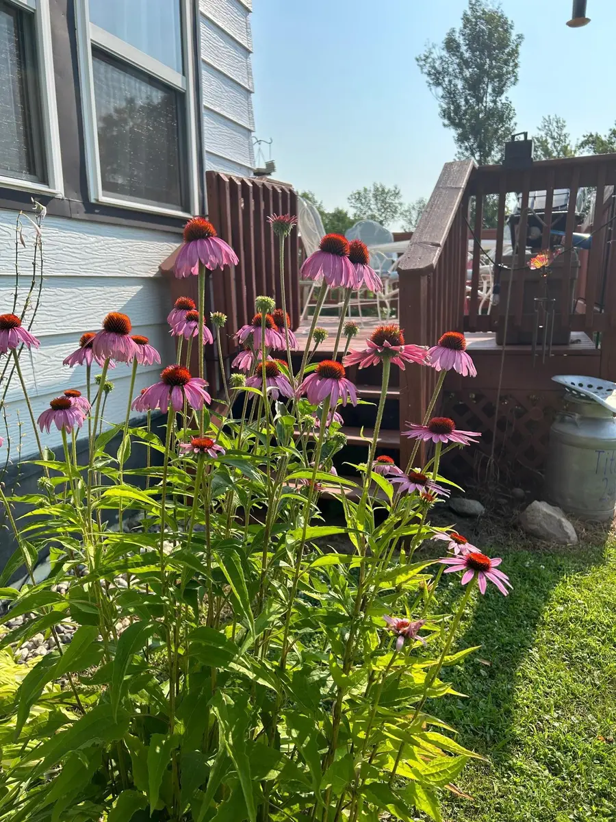 7005 County Road 82 Se, Alexandria, MN 56308 - #2