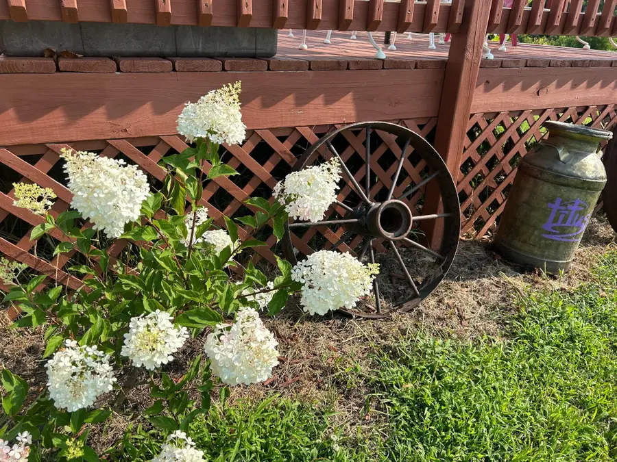 7005 County Road 82 Se, Alexandria, MN 56308 - #3