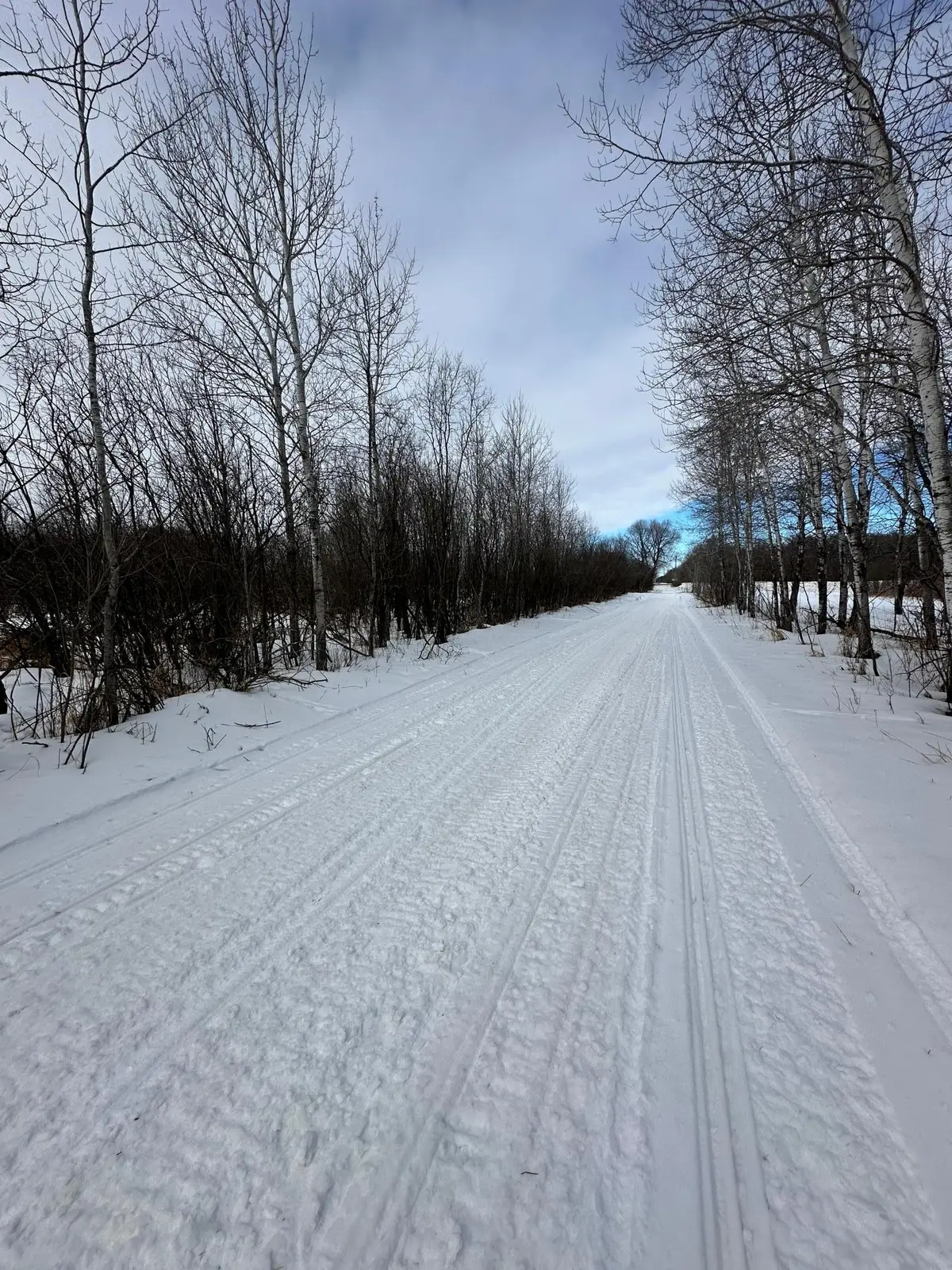 TBD Co Rd 66 Ne, Spruce Hill, MN 56446 - #1