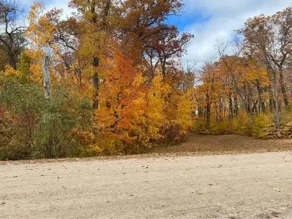 TBD Parkview Lane Ne, Alexandria, MN 56308 - Image #2