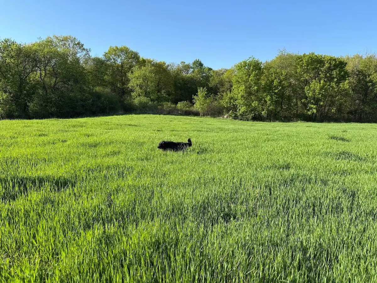 XXXXX Oxboro Ave N, Scandia, MN 55047 - #1