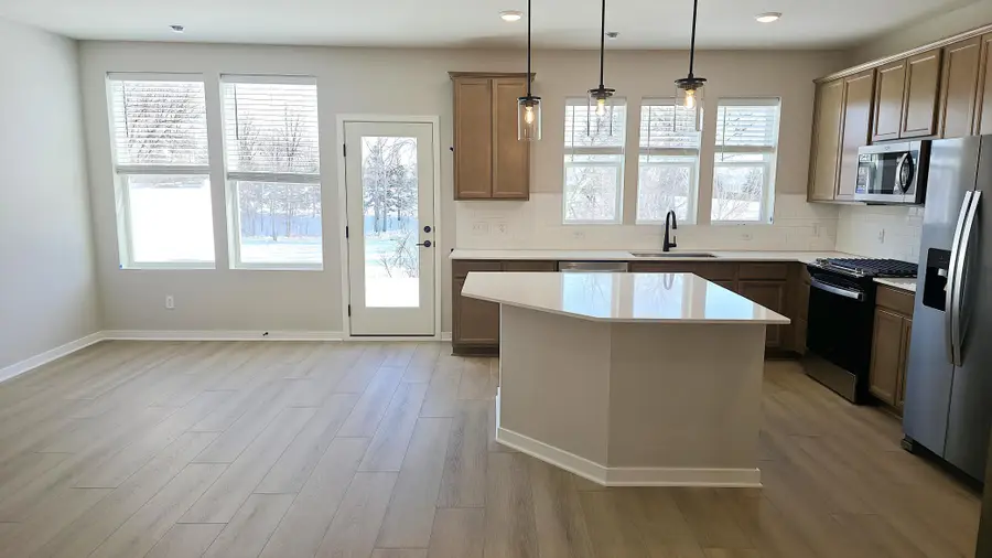 19196 Goldenrod Trail, Corcoran, MN 55374 - Image #3