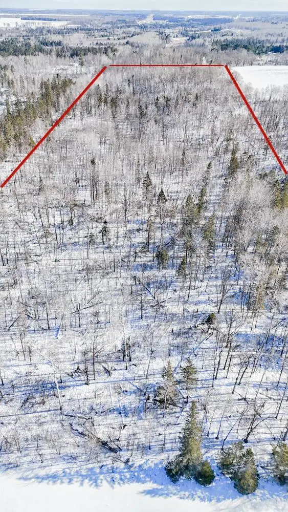 TBD County 36, Bemidji, MN 56601 - #2