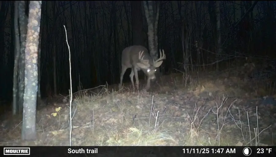 TBD County 36, Bemidji, MN 56601 - #3