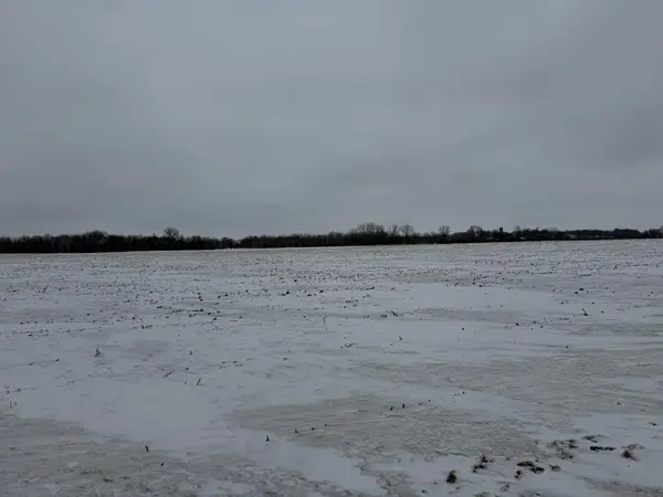 Section 31 Lake George Township, Belgrade, MN 56312