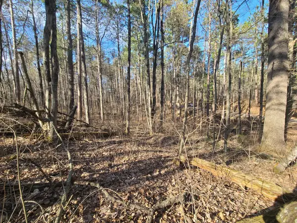 TBD N John Erickson Avenue, Hayward, WI 54843