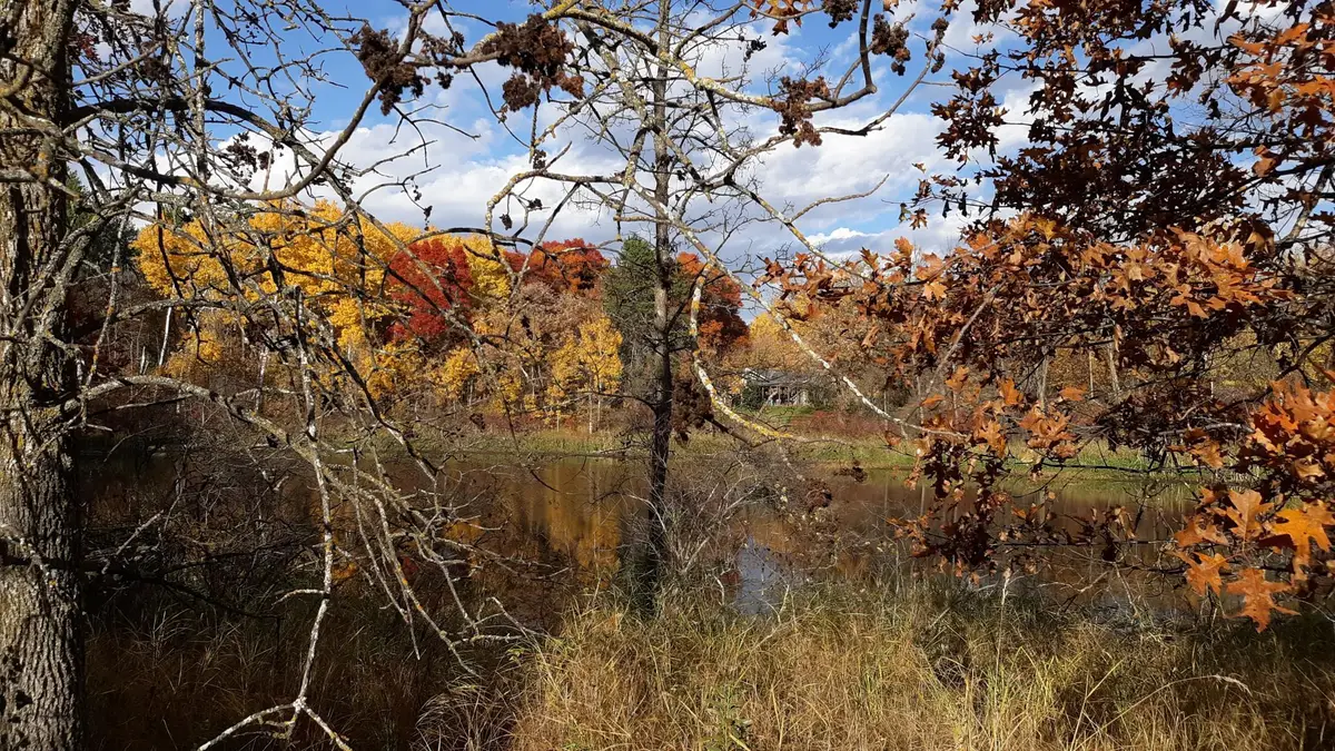 XXX Oriole Court, Browerville, MN 56438 - #1