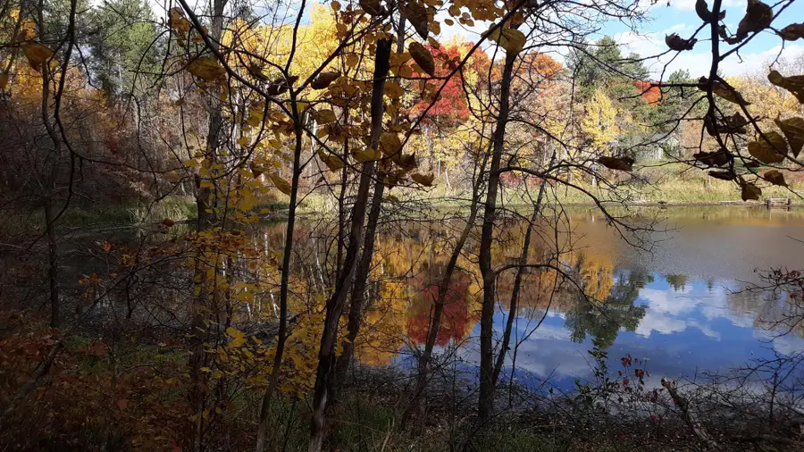 XXX Oriole Court, Browerville, MN 56438 - #2