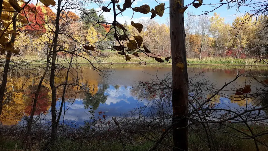 XXX Oriole Court, Browerville, MN 56438 - #3