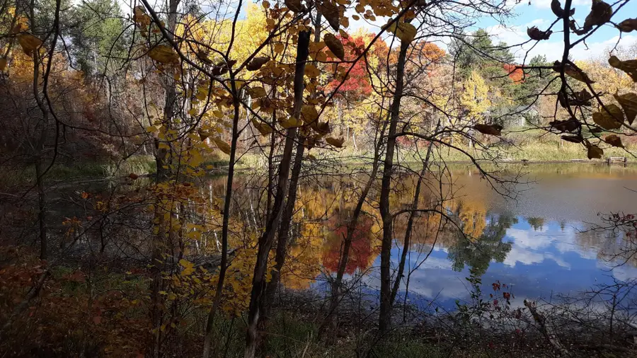 TBD Oriole Court, Browerville, MN 56438 - #2