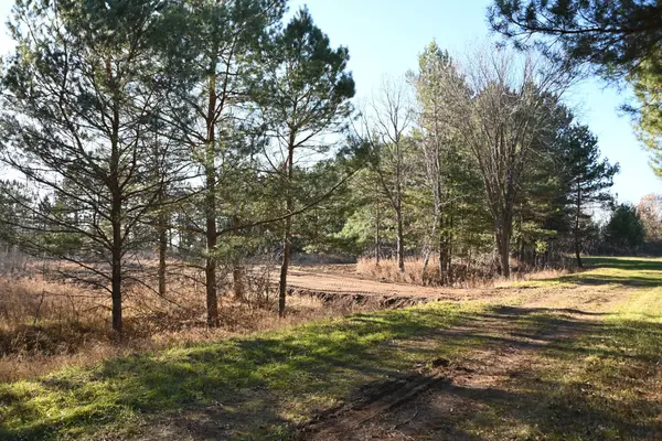 xxx Pequot Court, Browerville, MN 56438