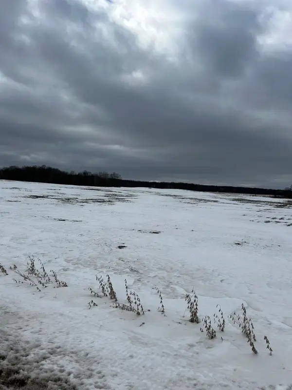 Lots 2 & 3 Cty Rd B, Woodville, WI 54028