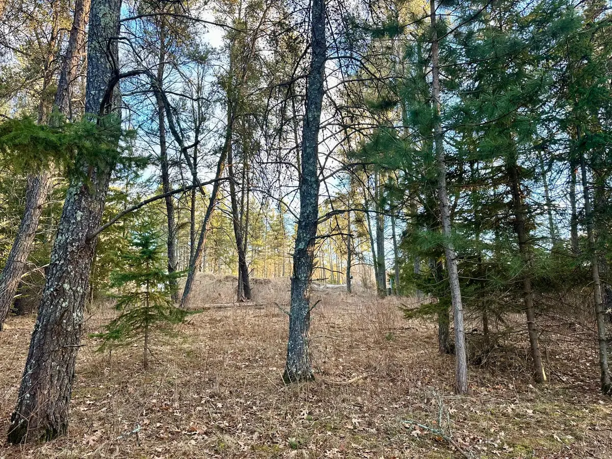 TBD E Blueberry River Dr, Menahga, MN 56464 - #1