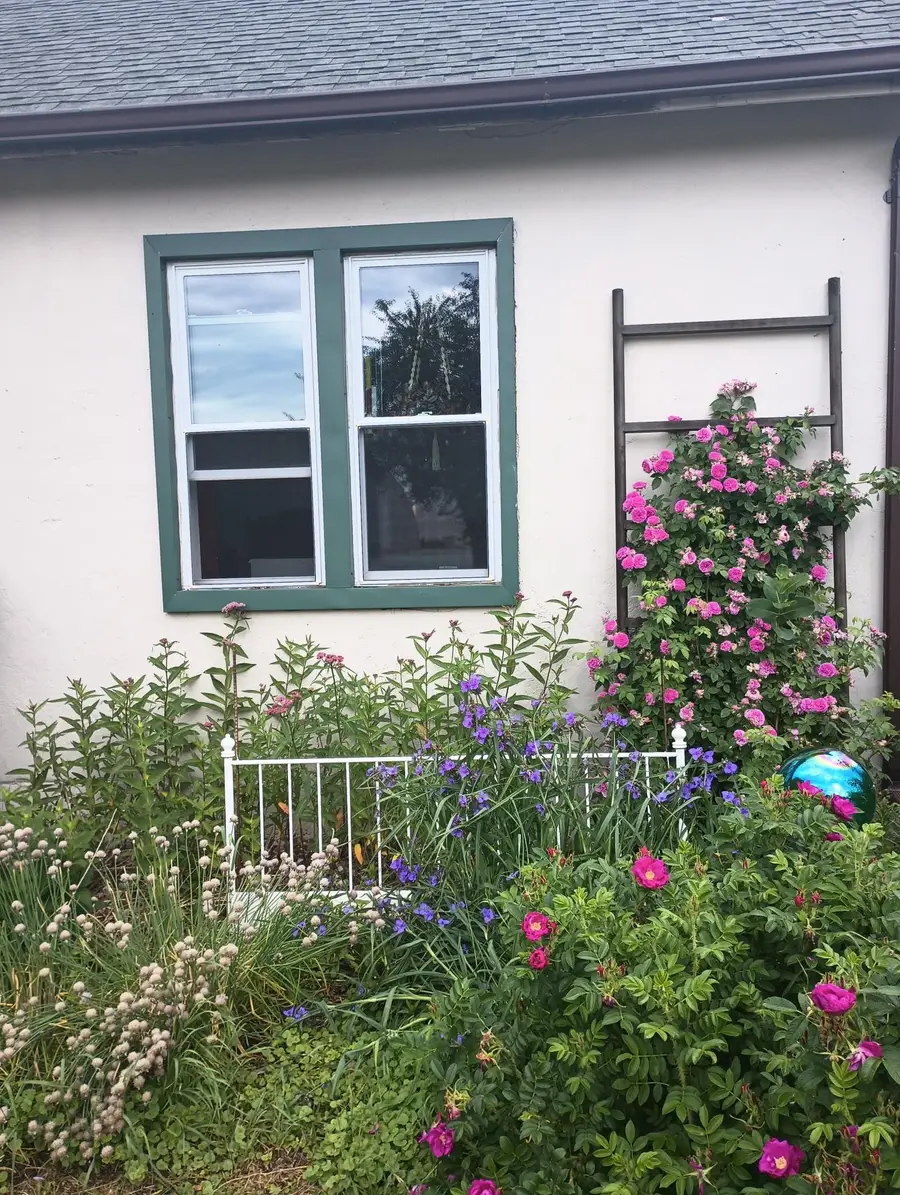 217 N Blue Mound Avenue, Luverne, MN 56156 - #2