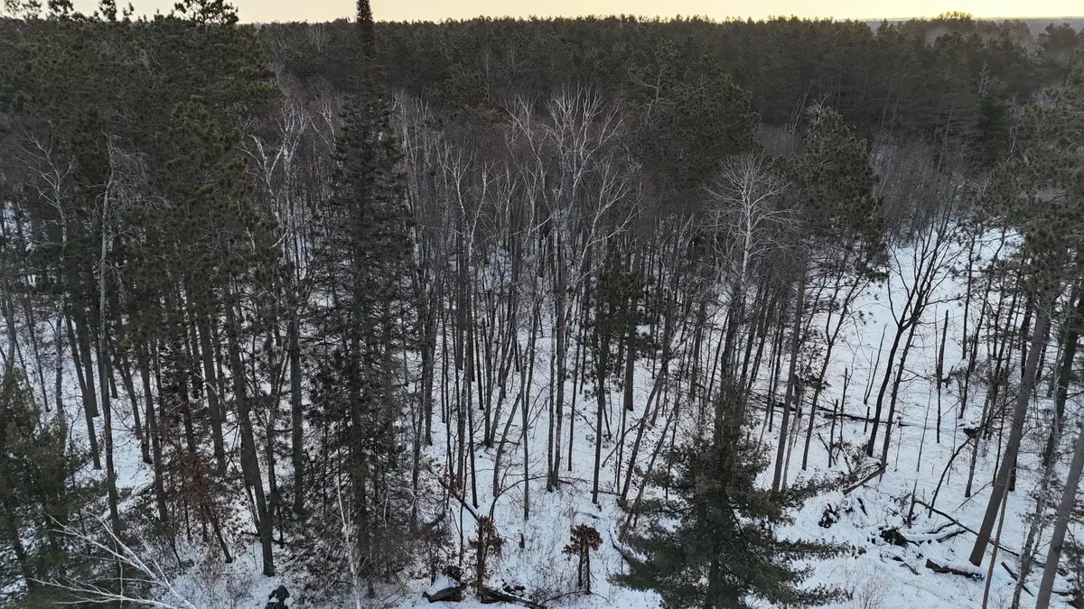 37898 Spruce Drive, Sturgeon Lake, MN 55783 - #1