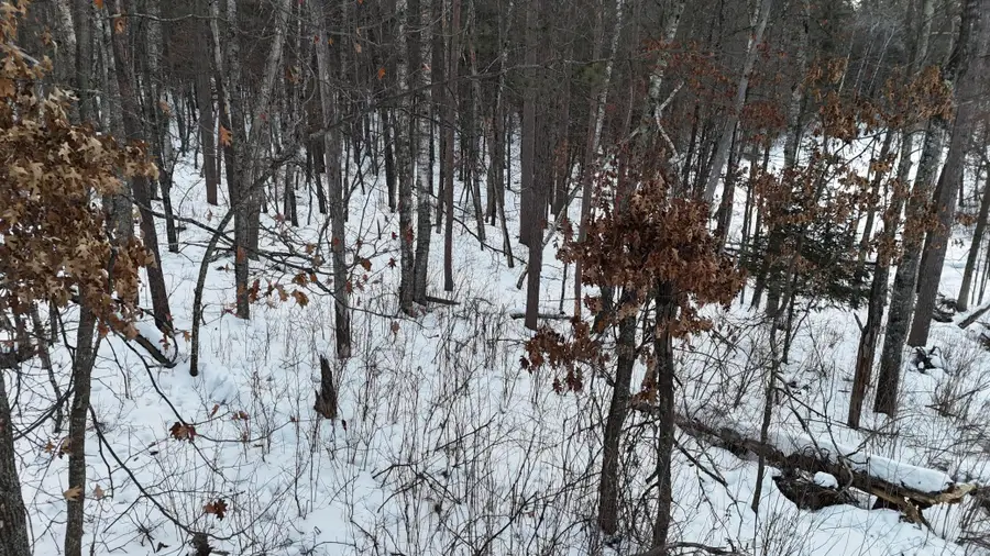 37898 Spruce Drive, Sturgeon Lake, MN 55783 - #3