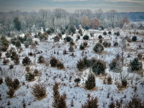 21423 Vergus Avenue, Prior Lake, MN 55372